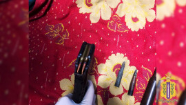 У жителя Липецкой области полицейские нашли патроны и наркотики