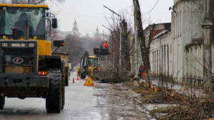 В Ельце приступили к вырубке сухих и небезопасных деревьев