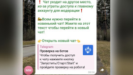 Заманили в новый чат: липчан предупредили о новой схеме мошенников