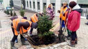 На улице Советской в Липецке сажают ели