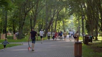 Детскую площадку на месте Арт-центра сделают в Нижнем парке Липецка