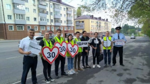 Лайками награждали студенты законопослушных липецких автомобилистов 