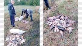 Браконьеры наловили 209 кг рыбы в заказнике Липецкой области