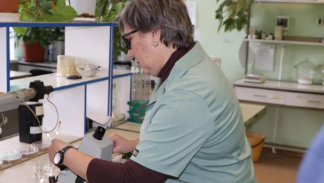 Перепады температуры в январе не сказались на озимых Липецкой области