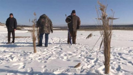 Экологический десант высадился на Матырском водохранилище