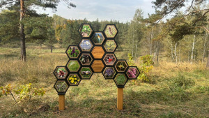 В Липецкой области устанавливают аншлаги у памятников природы