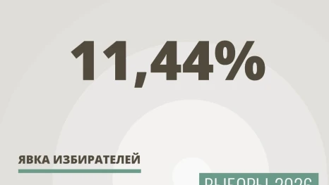 Явка на выборах сегодня 18 сентября на 15:00 составила 11,44%