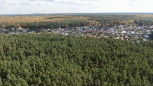 Это только начало: воздух в Липецке очистился на 15% за прошлый год