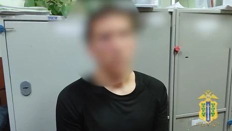 В Липецке задержали студента, подозреваемого в поджоге служебного автомобиля полиции