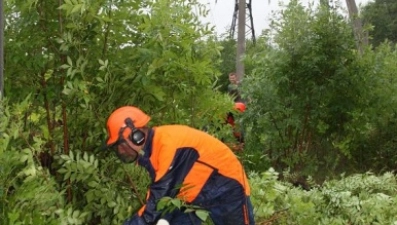 Липецкэнерго повышает надежность линий электропередачи