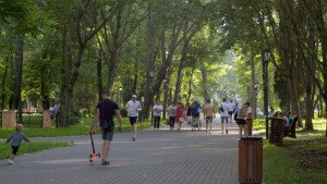 Детскую площадку на месте Арт-центра сделают в Нижнем парке Липецка