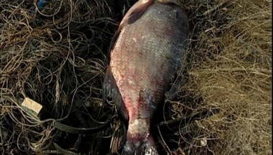 Очередного браконьера задержали с поличным на Матырском водохранилище