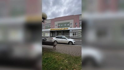 Липецкие врачи приняли роды в легковом автомобиле