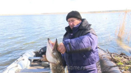 Липецкие ихтиологи проверяют здоровье рыбы в Матырском водохранилище