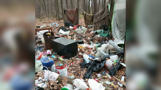 Более 40 свалок убрали волонтёры в лесах Липецкой области за полгода