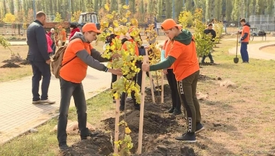 В парке на Матырском высадили деревья (видео)