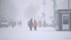 Метель придёт в Липецкую область 13 декабря