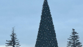 Новогодняя елка на Соборной площади в Липецке «поклонилась» ветру