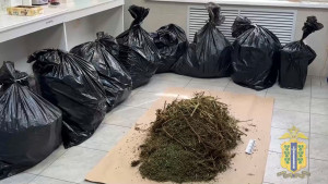 Более 35 кг конопли нашли у жителя Липецкой области