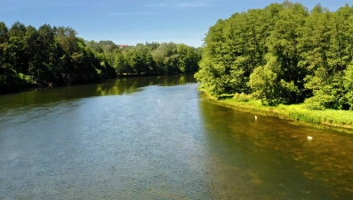 12 человек погибли в водоёмах Липецкой области с начала купального сезона