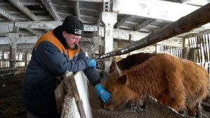 Выпускник школы фермеров открыл свой животноводческий комплекс в Липецкой области