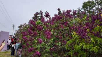 Один из самых красивых фестивалей собрал гостей в Липецкой области