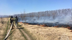 С 10 апреля в Липецкой области вводится особый противопожарный режим