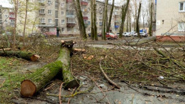  В мэрии Липецка подвели итоги ураганного воскресенья