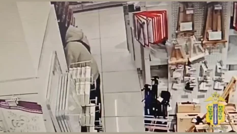 Липчанин украл 150 кистей для рисования из гипермаркета