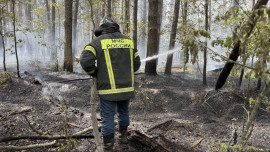Площадь возгорания в Воронежском биосферном заповеднике увеличилась до 25 га