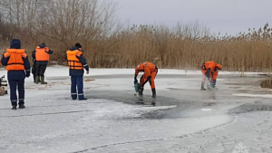 Липецкие спасатели вытаскивают автомобиль из Матырыского водохранилища