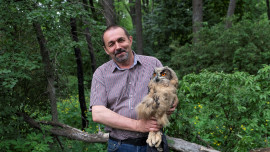 НЛМК запустил первый в России проект по восстановлению популяции филинов