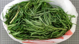 Полиция задержала ельчанку за хранение марихуаны 