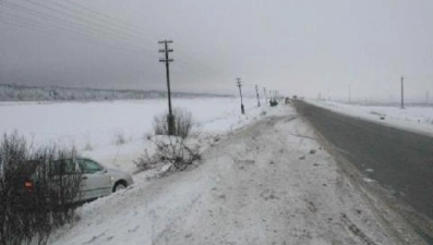 Водитель не справился с управлением на автодороге Усмань-Хлевное