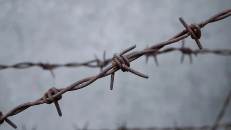 Трое подростков в Грязинском районе предстанут перед судом за кражу мопеда