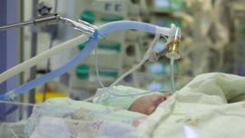 В Липецком областном перинатальном центре ежегодно выхаживают более 350 недоношенных малышей