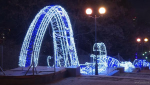  В Липецке зажглись новогодние огни (видео)