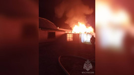 Пожарные тушили надворную постройку в Усманском районе