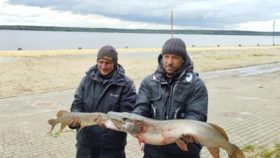 Липчане показали свой гигантский улов на чемпионате по рыболовному спорту