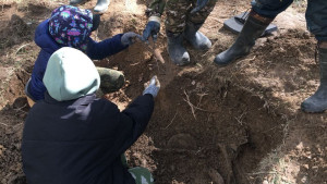 В Тверской области нашли останки липецкого танкиста времен ВОВ