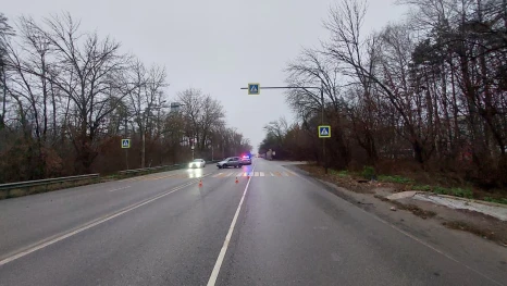 Водитель «Калины» сбил пенсионерку под Липецком