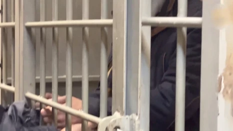 В Липецке 18-летний «закладчик» получил 4,5 года колонии за попытку сбыта крупной партии «синтетики»