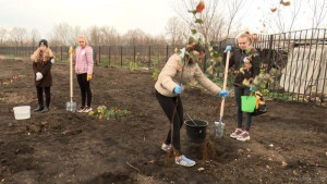 В Лебеднском районе высадили парк (видео)