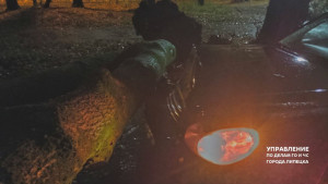 Дерево повредило капот иномарки в Липецке