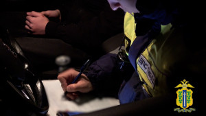 31 нетрезвый водитель попался полиции в ходе рейда в Липецкой области