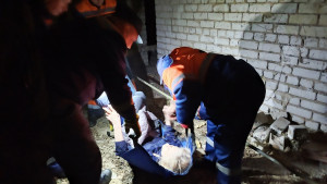 Липецкие волонтёры рассказали подробности спасения пропавшей Валентины Чернухиной