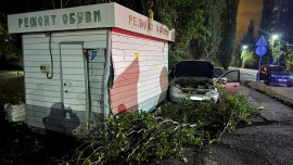 «Лада Калина» врезалась в дерево в Ельце