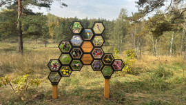 В Липецкой области устанавливают аншлаги у памятников природы