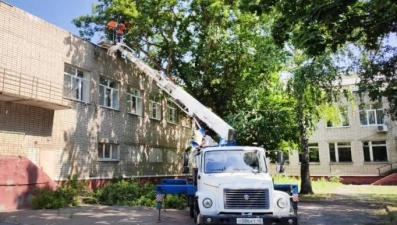 В Липецке снесут и опилят старые и аварийные деревья