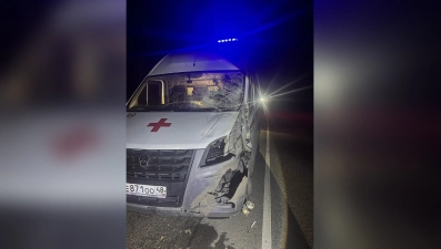 Автомобиль скорой столкнулся с лосем на Елецкой трассе